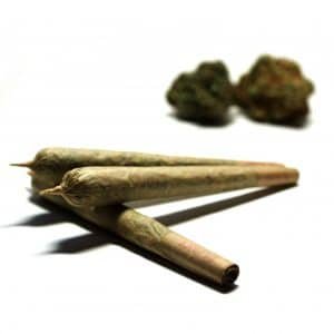 King Sized Prerolls 1.5 Gram