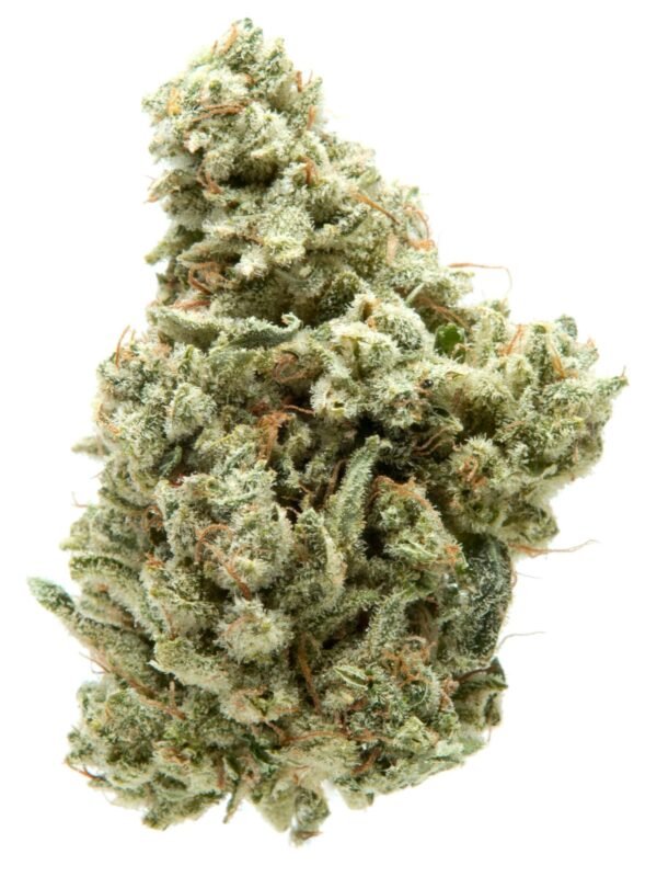 TOPSHELF INDOOR - Gorilla Glue 28G